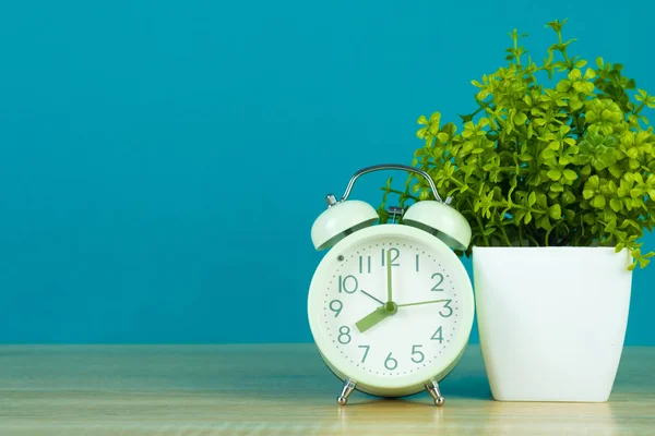 Pequena Árvore Decorativa Buquê Flores Vaso Branco Com Despertador Vintage — Fotografia de Stock