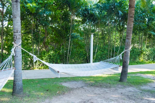 Empty white hammock hanging between two palm trees in garden wit
