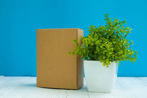 Pacote vazio caixa de papelão marrom ou bandeja e pouca decoração — Fotografia de Stock