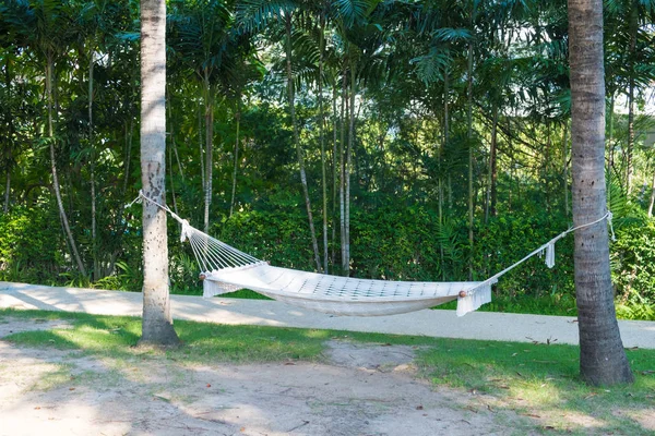 在花园里的两棵棕榈树之间悬挂着空荡荡的白色吊床 — 图库照片