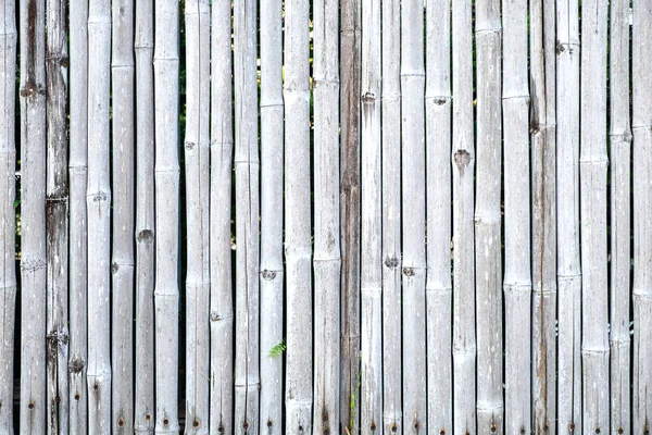 Bamboo fence wall background and texture. — Stock Photo, Image