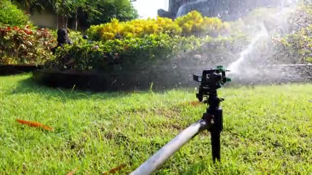 Sistema Agua Springer Utilizado Para Regar Plantas Flores Jardín Ultra — Vídeo de stock