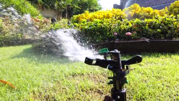 Sistema Agua Springer Utilizado Para Regar Plantas Flores Jardín Ultra — Vídeos de Stock