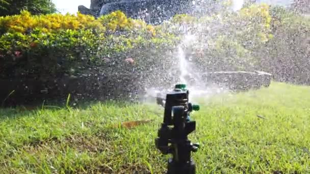 Sistema Agua Springer Utilizado Para Regar Plantas Flores Jardín Ultra — Vídeo de stock