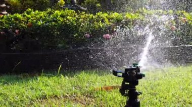 Bahçede bitki ve çiçek sulama için kullanılan Springer su sistemi, tam HD 1080p yavaş hareket.