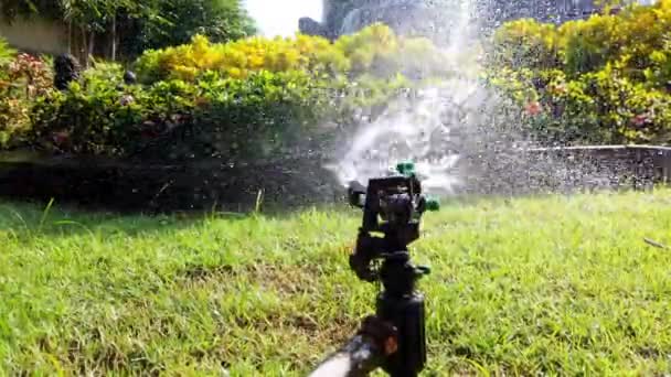 Sistema Agua Springer Utilizado Para Regar Plantas Flores Jardín Ultra — Vídeo de stock