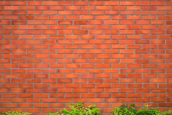 Fondo de fragmento de pared de ladrillo rojo con planta verde . — Foto de Stock