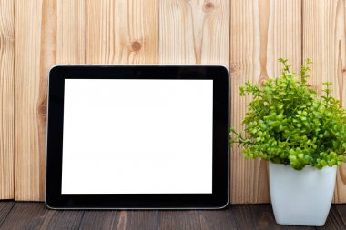 Boş tablet bilgisayar ve küçük ağaç veya çiçek buketi beyaz