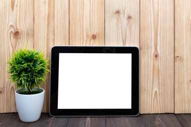 Boş tablet bilgisayar ve küçük ağaç veya çiçek buketi beyaz