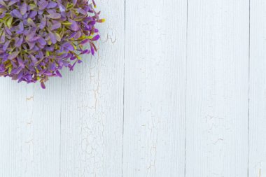 Beyaz ahşap arka planda küçük dekoratif ağaç