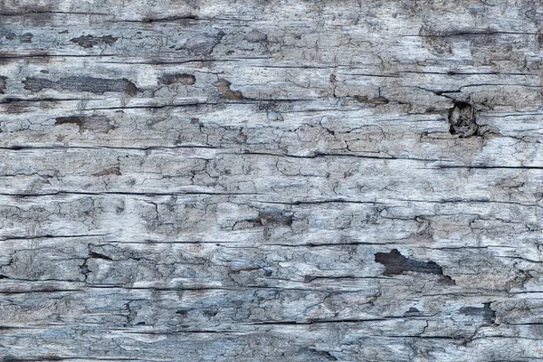 Fondo de textura de corteza de árbol. surfac natural —  Fotos de Stock