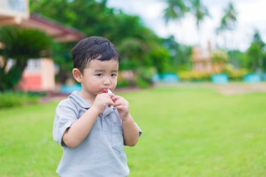 Yazın güneş ışığı altında, oyun parkındaki küçük Asyalı çocuk, sığ DOF