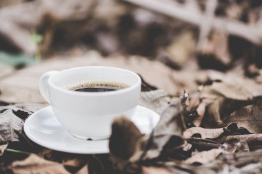 Kahverengi yapraklı beyaz tabakla beyaz kahve. Arka planda klasik ton, sığ odak.