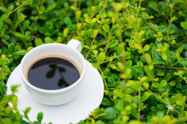 Bitkinin yeşil arka planında beyaz tabağı olan bir fincan sıcak kahve. Sığ odak