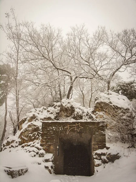 雪の降る冬の森の中の未知の世界への下方へと続く入り口 — ストック写真
