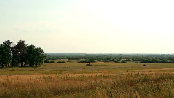 Trekker Mensen Het Veld Oogsten Zomer Landbouw Maaimachine Boeren Laden — Stockvideo