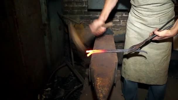 Forjamento Metal Ferreiro Forjando Ferro Quente Vermelho Bigorna Forjando Metal — Vídeo de Stock