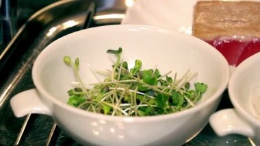 Şef salata, sağlıklı bir organik salata, karışık salata yemek yapmak, kadın salatası malzemeler karışımları
