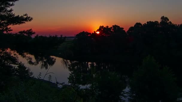 Luchtfoto Van Rivier Bij Zonsopgang Bos Rivier Ochtendnevel Vliegen Bomen — Stockvideo