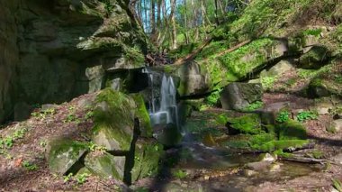 Şelale orman, orman küçük şelale Creek, şelale, taşlar ve kayalar moss yeşil yaz orman, Moss üzerinde Rocks orman akarsu zaman atlamalı, taze su akışı su ile üzerinden akan su akışı boyunca kapsadığı orman akarsu