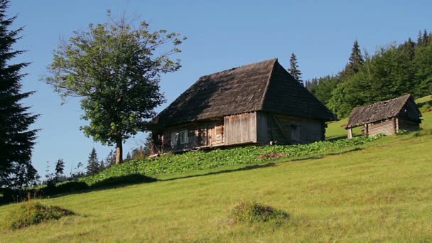房子和云杉在山的黎明 木房子在喀尔巴阡山山村庄 夏天乡村风景在山喀尔巴阡山 孤独的房子在山上 乡村木屋在森林里 — 图库视频影像