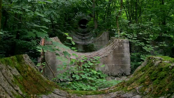 Viaducto Viejo Cubierto Viaducto Viejo Bosque Parte Una Hidroeléctrica Abandonada — Vídeo de stock