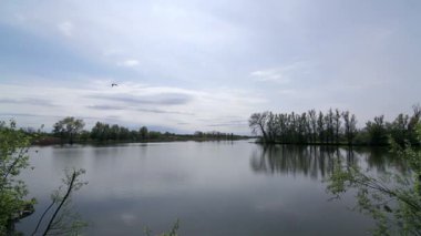 nehir, nehir, bulutlu gün gölde üzerinde sinek üzerinde uçan küçük Nehri'nin havadan görünümü üzerinde uçmak, 
