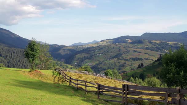 Tree Fence Mountain Slope Lonely Tree Fence Hayloft Mountain Valley — Stock Video