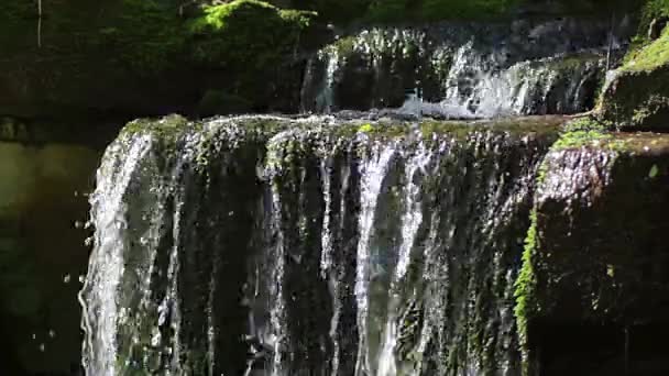 閉じる滝しぶきを温泉水のクローズ アップにあり 緑の苔にドリブルを閉じる大きな美しい滝クローズ アップ水ドロップ ショット — ストック動画