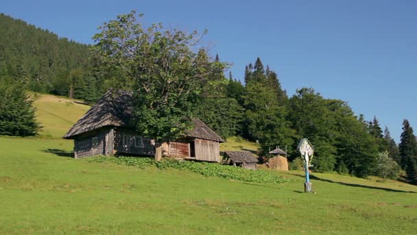 Carpathians 마에서 주택에 산에서 가문비나무 Carpathians 언덕에 외로운 산맥의 숲에서 — 비디오
