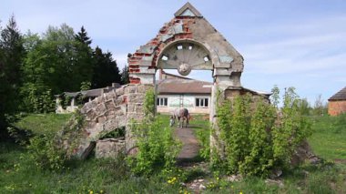 Eski kapısı ve beyaz at, beyaz at eski kemer, eski Sovyet arch ve beyaz at otlatma