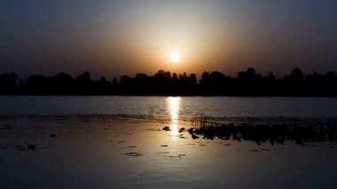zaman atlamalı manzara nehir, nehir ağaçlar, Güneş doğarken, 4 k timelapse üzerinde gündoğumu ile nehir üzerinde gündoğumu ile manzara
