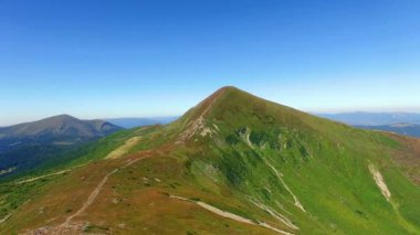 4 k hava manzara Hoverla dağ, açık havada dağ tepe, dağ tepe Hoverla Dağları Karpat Dağları'Hoverla Dağı'nda yaz, havadan görünümü yeşil dağ tepe, zirve zirve mavi gökyüzünde güneşli yaz günü üzerinde üzerinde uçuş 
