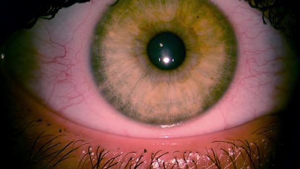 clignotement des yeux, macro gros plan clignotement des yeux, mascara sur les yeux gros plan, macro oeil humain gros plan  