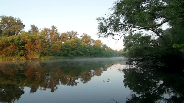 Πορτοκαλί Ανατολή Στον Ποταμό Την Ομίχλη Πρωί Την Ανατολή Υδρονέφωση — Αρχείο Βίντεο