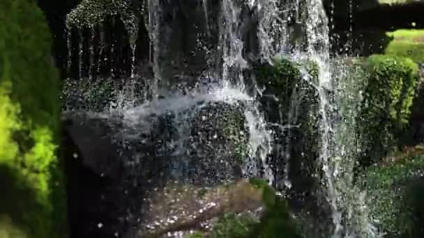 Cascade Dans Forêt Petite Cascade Forestière Dans Ruisseau Ruisseau Forestier — Video