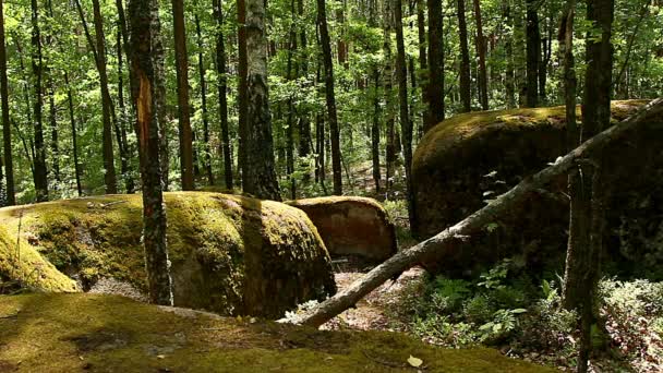 Pueblo Piedra Ucrania Grandes Piedras Bosque Pueblo Piedra Tracto Pueblo — Vídeo de stock