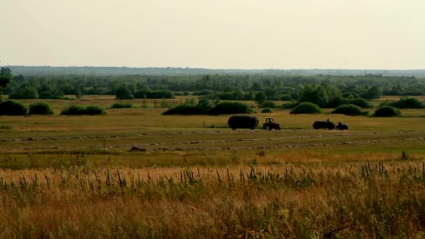 トラクターと干草を背景に五重塔と干し草フィールドで小型トラックで農家 分野での人 — ストック動画