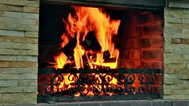 Legno Ardente Nel Camino Fiamma Fuoco Vicino Fuoco Inizia Bruciare — Video Stock