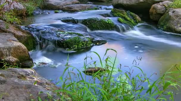 森林河流时间流逝 河水和绿色苔藓岩 山溪时间失效 苔藓在岩石森林溪 森林河 水快速运行通过急流 时间失效模糊的白溪水和绿色苔藓岩石 — 图库视频影像
