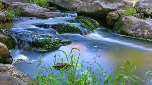 Zeitraffer Des Waldbaches Bachwasser Und Grüne Bemooste Felsen Zeitraffer Des — Stockvideo