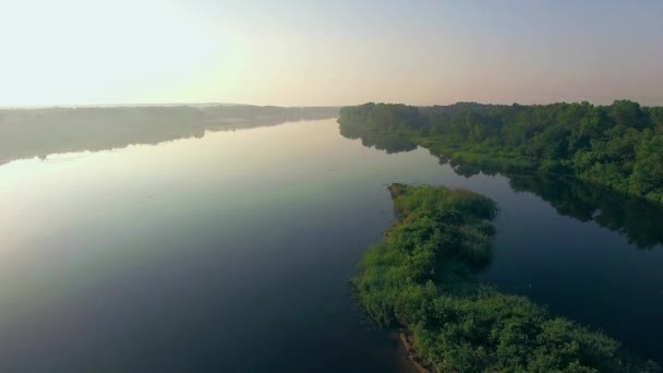 リード島 アシの茂った島の平面図 湖の島で 空撮飛行アシの茂った島の アエリア ビュー島上空を飛ぶ — ストック動画
