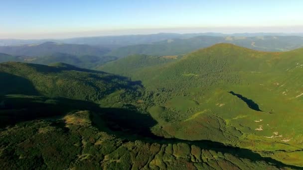 Flygfoto Över Skogsklädda Berg Underbar Flygning Till Den Vackra Skogen — Stockvideo