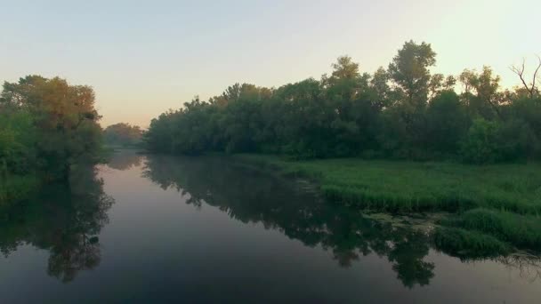 日の出 朝の霧の川の空撮非常に日の出川緑木の上を飛んで高霧日の出神秘的な川の空撮 日の出川の森林観 — ストック動画