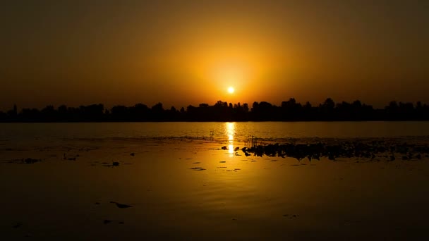 Nascer Sol Sobre Rio Lancha Nascer Sol Manhã Paisagem Lapso — Vídeo de Stock