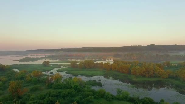 Letecký Pohled Řeku Ostrovy Lesa Řeky Velmi Vysoké Pohled Les — Stock video