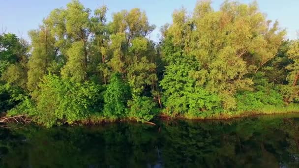 Уздовж Пташиного Riverbank Drone Політ Вздовж Річки Пересуванні Поблизу Дерев — стокове відео