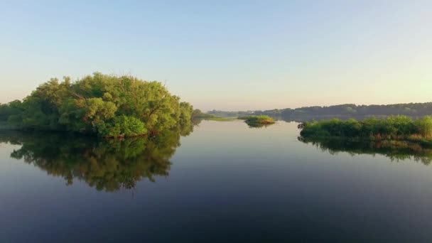 日の出 朝の霧の川の空撮非常に日の出川緑木の上を飛んで高霧日の出神秘的な川の空撮 日の出川の森林観 — ストック動画