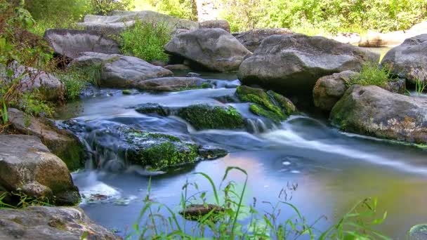 水の急流 ぼやけた白い渓流水と緑のコケに覆われた岩の時間の経過によって実行速度が森林ストリームの時間の経過 渓流水と緑コケに覆われた岩 山ストリーム時間経過 コケの岩森林ストリームの森川 — ストック動画