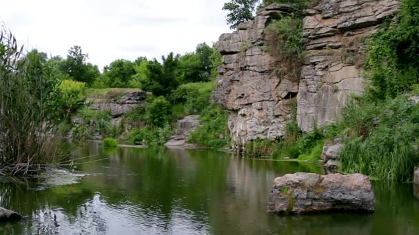 Гірський Водоспад Струмок Річка Скелі Гірська Річка Гірські Річкові Пороги — стокове відео